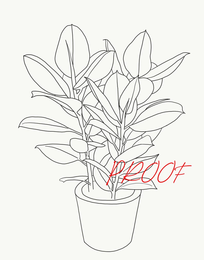 Rubber Plant ficus Elastica Line Drawing Minimalist Black Etsy