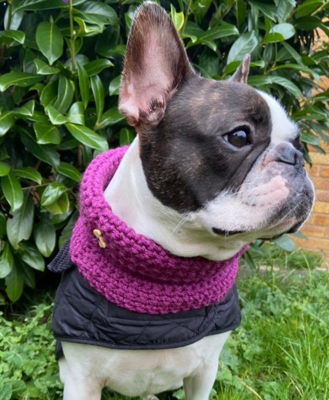 Plum Hand Crochet Dog Snood Dog Accessories Dog Neckwear Etsy UK