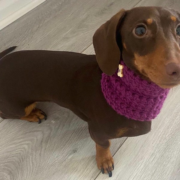 Sausage Dog/Dachshund Hand Crochet Dog Snood - See listing for colours  | Dog Accessories | Dog Neckwear