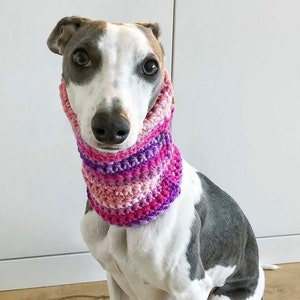 Sighthound/Whippet/Greyhound Hand Crochet Dog Snood - See listing for colours  | Dog Accessories | Dog Neckwear
