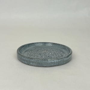 Garlic grater - blue/white