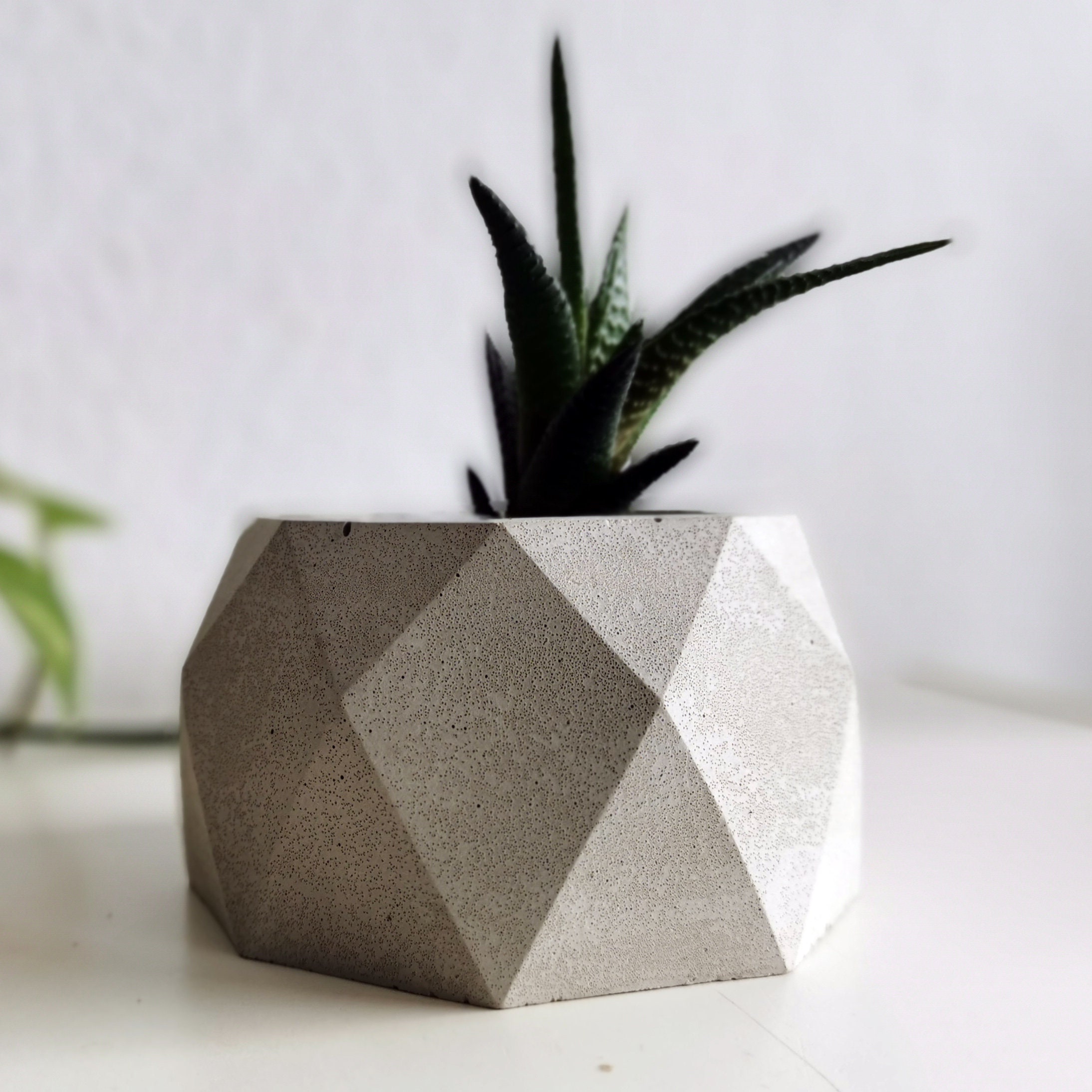 succulent pen holder