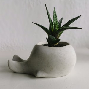 Weißer Keramik-Übertopf Mit Wal-Motiv – 8,9 X 7,6 Cm, Ohne Ablaufloch, Für Sukkulenten & Deko