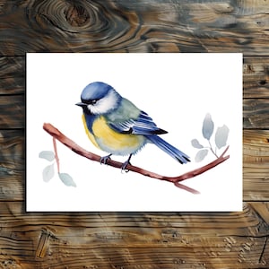 Grußkarte Blaumeise | Liebevolle Aquarell Blaumeise Kunstdruck I Geschenk für Vogelfreund I Singvögel Natur Grußkarten | Nature Love