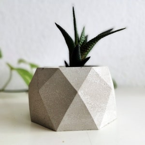 May include: A gray geometric concrete planter with a small green succulent plant inside.
