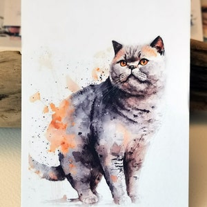 Pu&ograve; includere: Dipinto ad acquerello di un gatto grigio e bianco con occhi arancioni. Il gatto &egrave; in piedi su uno sfondo bianco con schizzi di acquerello arancioni.