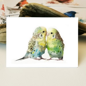 Grußkarte Wellensittich Vögel Postkarte | Liebevolle Aquarell Kunstdruck I Geschenk für Vogelfreund I Natur Grußkarten | Nature Love