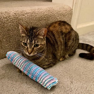 May include: A tabby cat with green eyes sits near a blue, pink, and white knitted cat toy. The cat has brown and tan fur and is on a gray carpeted surface. The toy is cylindrical.