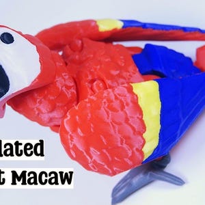 Articulated Scarlet Macaw 3D Printed Model: Poseable Bird Display