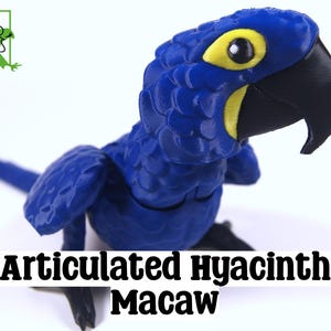 3D Printed Articulated Hyacinth Macaw: Poseable Parrot Fidget