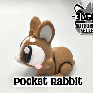 Articulated Rabbit Fidget Model – Flexible 3D Printed Rabbit - Pocket Animal – Sensory Desk Pet