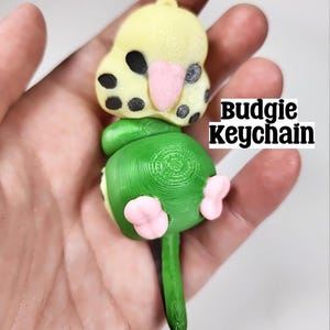Articulated 3D Printed Budgie Keychain: Bird Fidget Toy
