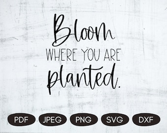 Bloom Where You Are Planted SVG, Inspirational Sublimation Designs, Inspirational Quotes PNG, Plant Lover Quotes, Inspiring Cut Files