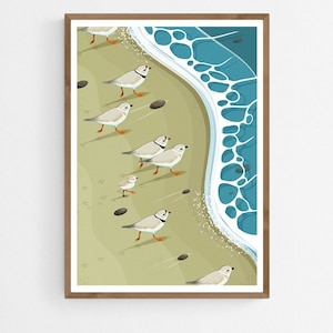 Les Pluviers Siffleurs poursuivent le Bord de Mer, Affiche d’Oiseaux Côtiers, Illustration Bécasseaux de Rivage, Déco Mural Faune de Plage