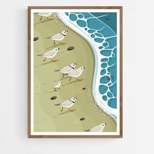 Piping Plovers Chasing the Seashore Art Print, Coastal Birds Poster, Sandpipers Illustration, Beach Wildlife Wall Art, Shorebirds Home Decor