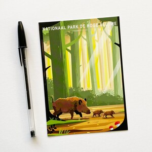 Postcard. The card features an illustration of wild boars in National Park De Hoge Veluwe in the Netherlands.