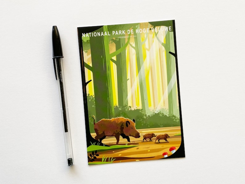 Postcard. The card features an illustration of wild boars in National Park De Hoge Veluwe in the Netherlands.