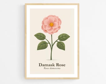 Damask Rose Art Print: Botanical Poster, Minimalist Floral Wall Decor