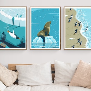3 Antarctic Animals Art Prints, Set of 3 Posters, Choose Any three, Antarctica Illustrated Series, Penguins Orcas Seal Decor, Posters Bundle