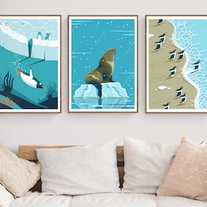 3 Antarctic Animals Art Prints, Set of 3 Special Deal, Choose Any, Antarctica Illustrated Series, Penguins Orcas Seal Decor, Posters Bundle