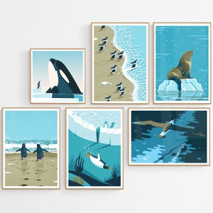 Choose Any 6 Antarctic Animals Art Prints, Posters Bundle, Antarctica Illustrated Series, Living Room, Nursery or Bedroom Decor