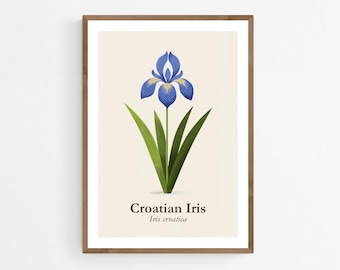 Croatian Iris Art Print: Minimalist Botanical Flower Poster