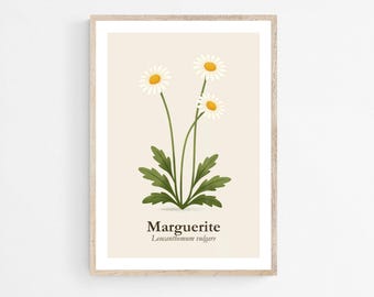 Oxeye Daisy Art Print: Marguerite Botanical Poster, Minimalist Floral Wall Decor