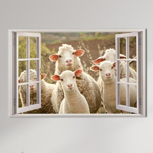 May include: A group of five white sheep looking out of a window. The sheep are all looking at the camera with their heads tilted. The window is open and the sheep are in a field.