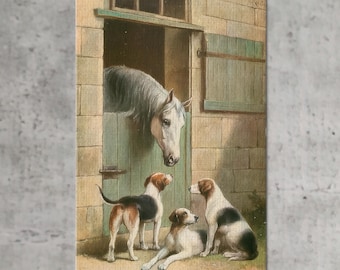 May include: A vintage-style print featuring a white horse peering out of a barn doorway, with three hounds in the foreground. The dogs are in various poses, with a mix of black, brown, and white markings. The artwork has a rustic, aged aesthetic.