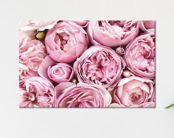 Pink Rose Canvas Art: Modern Floral Wall Decor