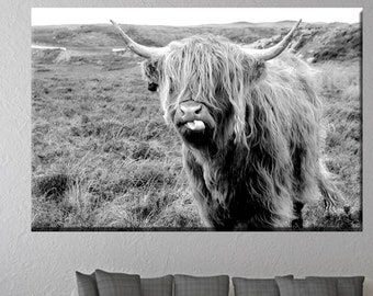 Highland Bull Canvas Print: Black and White Animal Photo