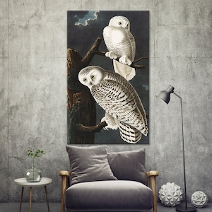 John James Audubon Owls Prints, Audubon Bird Print, White Snowy Owls, Audubon Painting, Owl Painting, Vintage Wall Art, Modern Wall Art,