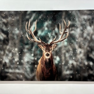 Winter Deer Canvas Art: Farmhouse Animal Wall Decor