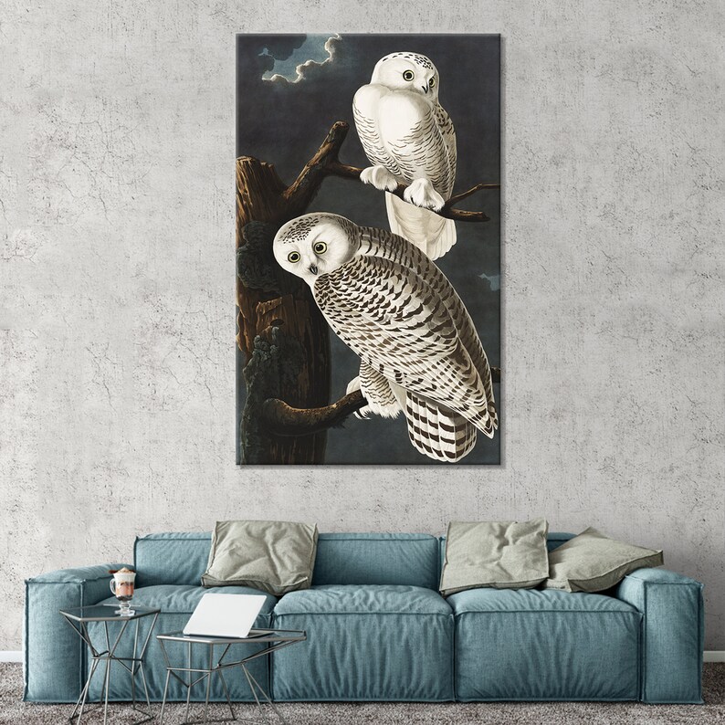 Audubon Snowy Owls Print: Vintage Owl Painting, Modern Wall Art Canvas image 2