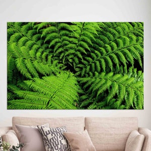 Arte de pared con hojas de helecho verde, póster de naturaleza botánica, lienzo de plantas forestales para sala de estar u oficina.
