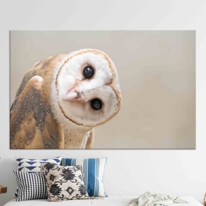 Personalized Gift, Canvas Wall Art, Owl Wall Art, Modern Wall Art, Loft Decor, Owl Lover Gift, Office Wall Art, Home Decor, Large Wall Art,