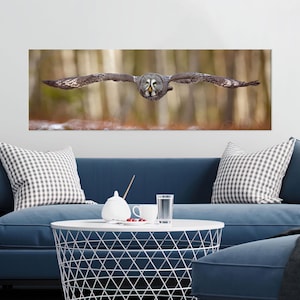 Arte en lienzo de búho volador, fotografía realista de vida silvestre sobre lienzo de algodón, decoración de pared de aves majestuosas para un hogar rústico o de inspiración natural.