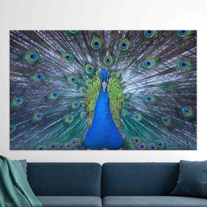 Lebendige Pfau Wandkunst, Majestätischer Vogel Leinwanddruck, Buntes Natur Tier Dekor, Blau Grüne Federn Moderne Wildtier Poster