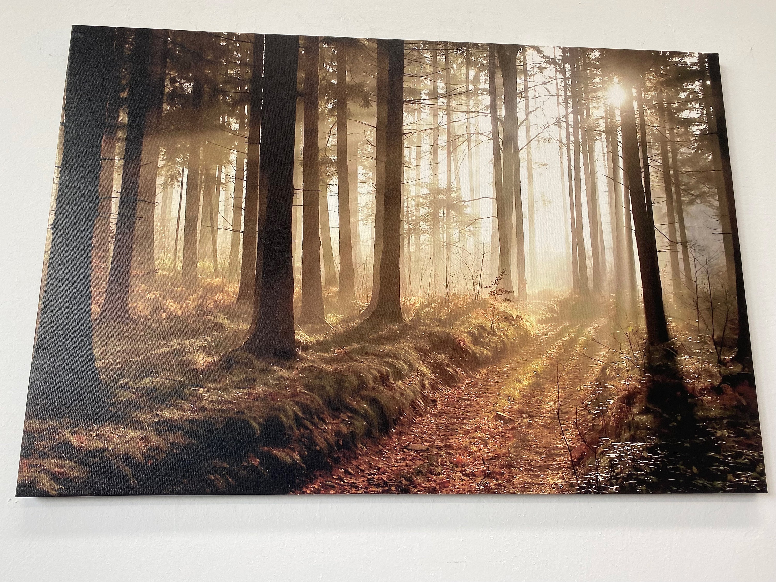 Sunset Forest Path Canvas Print: Nature Wall Art Decor - Etsy