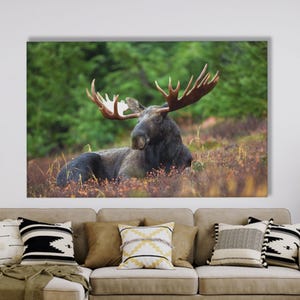Canvasprint hert: muurkunst wilde dieren