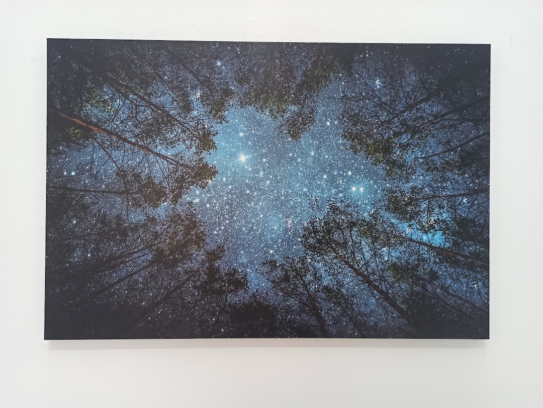 Starry Sky Wall Art, Night Sky Landscape, Night View Canvas, Forest
