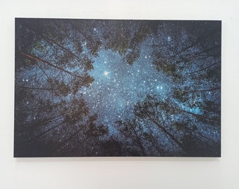 Starry Sky Wall Art, Night Sky Landscape, Night View Canvas, Forest Landscape Decor, Living Room Wall Art, Home Decor, Farmhouse Wall Decor,