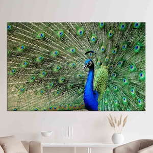 Peacock Canvas Wall Art: Modern Feather Print, Living Room Decor