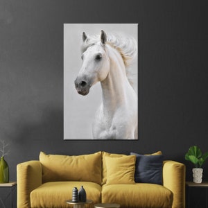 White Horse Canvas Print: Animal Wall Art Decor