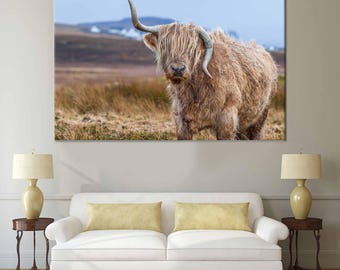 Highland Cow Canvas Print: Farmhouse Wall Decor