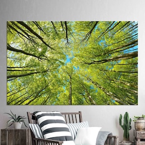 Impresión en lienzo de dosel forestal: arte mural natural, decoración de estilo rústico