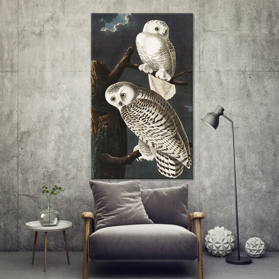 Audubon Snowy Owls Print: Vintage Owl Painting, Modern Wall Art Canvas