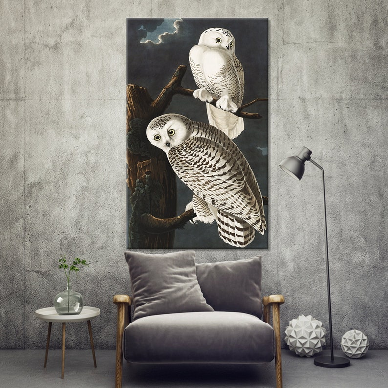 Audubon Snowy Owls Print: Vintage Owl Painting, Modern Wall Art Canvas image 1