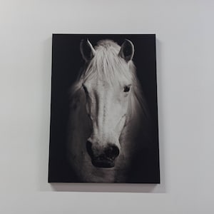 Canvas Wall Art, Office Decor, White Horse Wall Art, Horse Lover Gift, Modern Wall Art, Contemporary Wall Decor, Man Cave Wall Art,