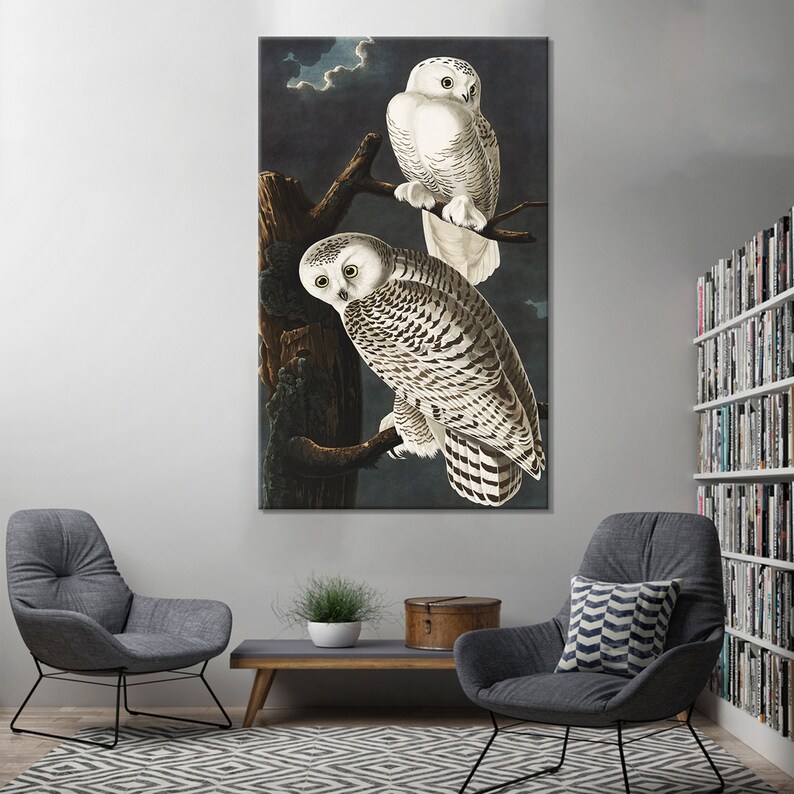 Audubon Snowy Owls Print: Vintage Owl Painting, Modern Wall Art Canvas image 3